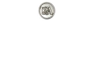 Pewter USA Pin